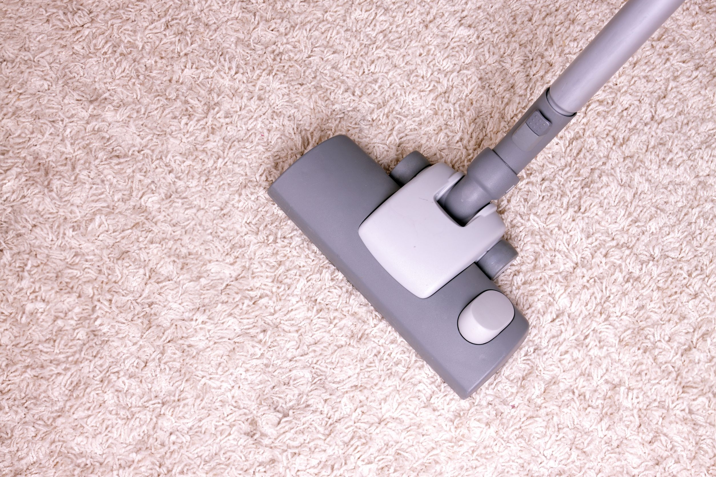 Maintain Your Rugs And Carpets With Premium Rug Cleaning Services in Lawrence, KS: A Step Toward a Healthier Home