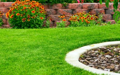 Selling Premium Landscaping Soil in El Paso County, CO