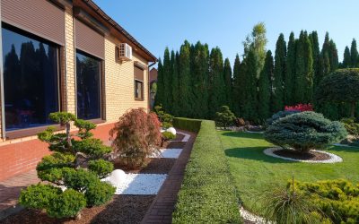 Transforming Outdoor Spaces with Water-Efficient Xeriscape Landscaping Near Me