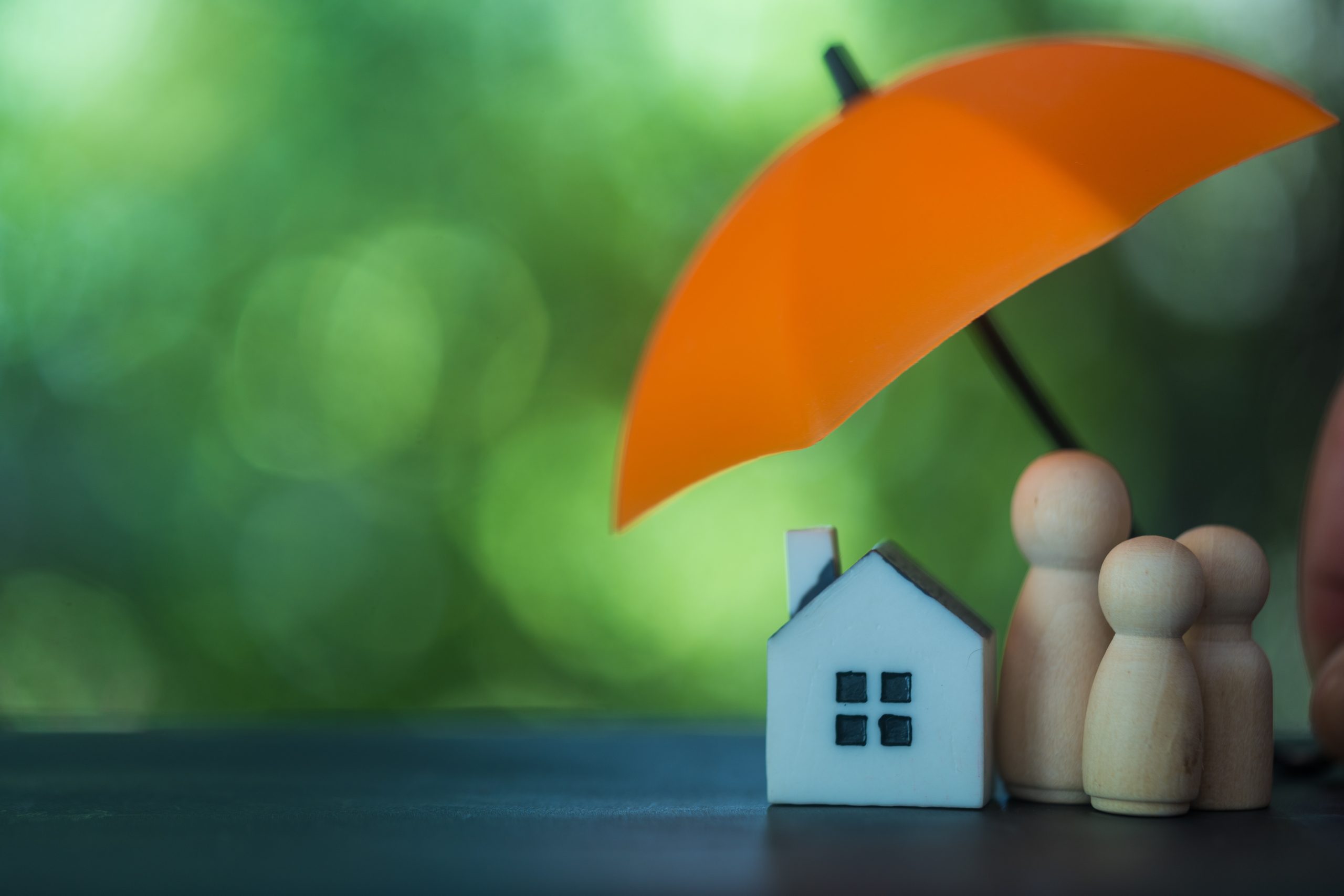 Tailored Coverage from Experts You Trust – Local Home Insurance Agents in Charleston