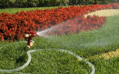 Upgrade Your Lawn Sprinkler Systems Rhode Island for Efficient Water Use