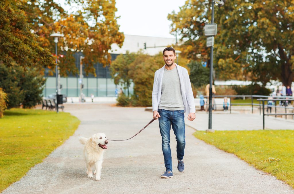 What Pet Owners Gain From Veterinary Clinic Services in Madison, AL, Every Visit