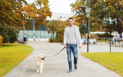 Discover Why Pet Owners Love Local Pooper Scooper Service in Aurora CO