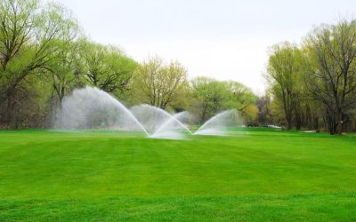 Efficient Irrigation Sprinkler Repair in Colorado Springs, CO: Keeping Your Lawn Healthy Year-Round