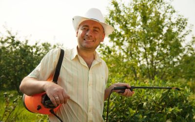 Weed Control Twin Cities: Secrets for a Lush Lawn Year-Round