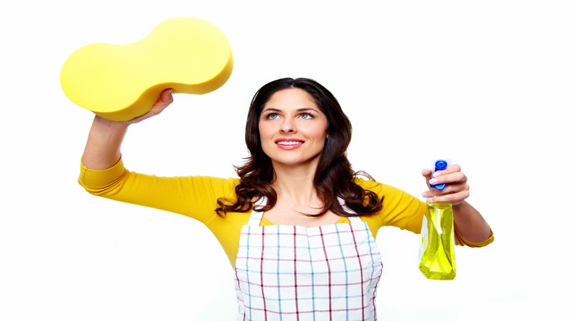 Affordable Home Cleaning Services in Star ID for a Sparkling Residence