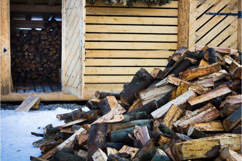 Enjoy Cozy Nights With Fast and Reliable Firewood Delivery Near Freehold NJ Homes