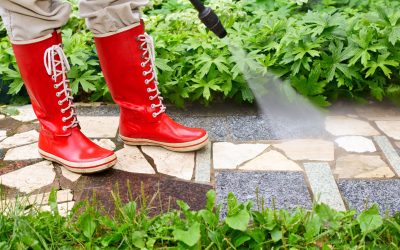 Refresh Your Home’s Exterior with Pressure Washing Services In Spring Grove, IL