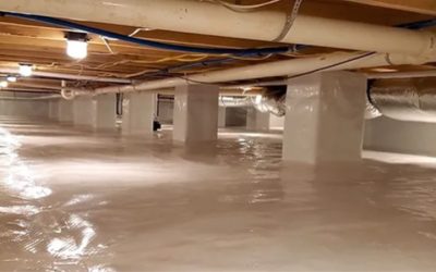 Effective Ways to Get Rid of Mold in Your Arkansas Crawl Space