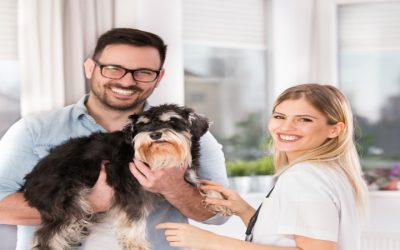 How the Pet Spaying Procedure Arlington TN Benefits Your Furry Family Members
