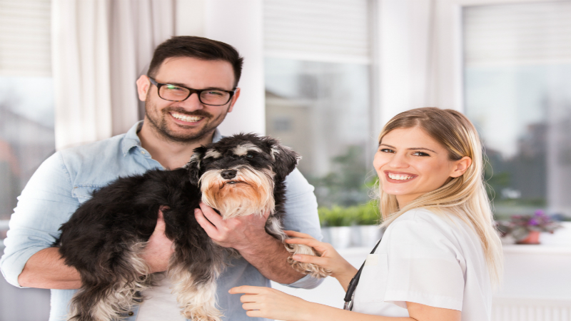 How the Pet Spaying Procedure Arlington TN Benefits Your Furry Family Members