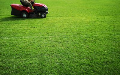 Essential Lawn Care Companies Gainesville, VA: Nurture Your Green Space Now