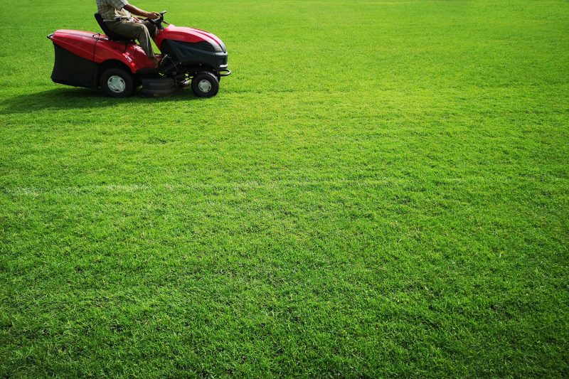 Essential Lawn Care Companies Gainesville, VA: Nurture Your Green Space Now