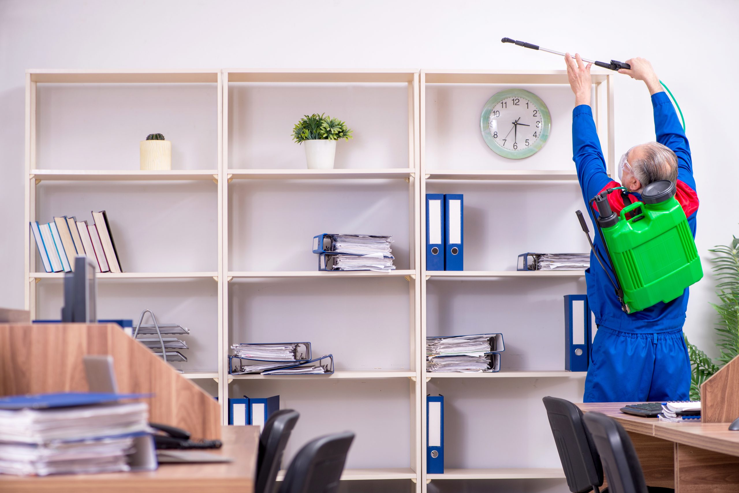 How a Pest Control Company Barnstable, MA Protects Your Home from Common Invasive Pests