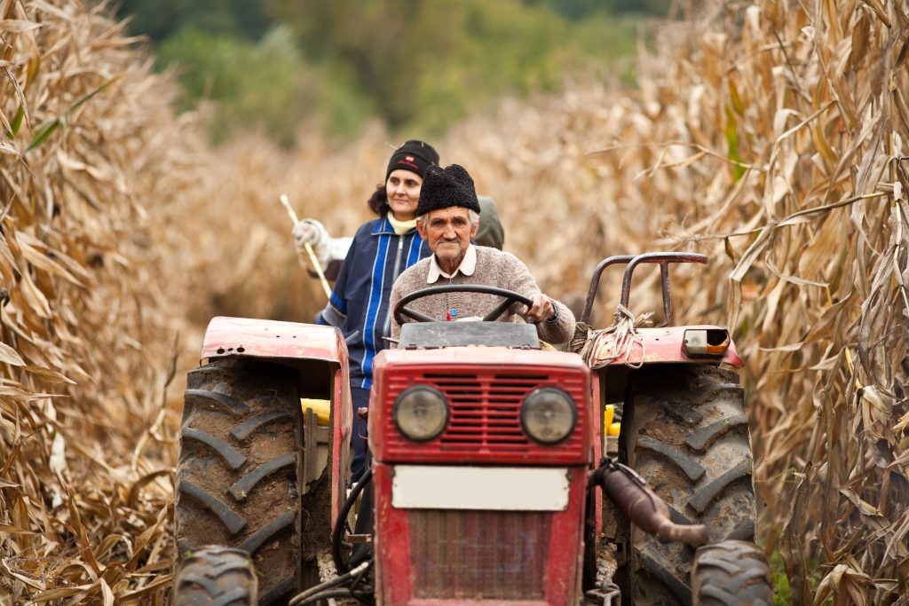 Reasons Local Farmers Rely On A Kubota Tractor Rental Dealer In Kiowa CO