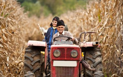 Reasons Local Farmers Rely On A Kubota Tractor Rental Dealer In Kiowa CO