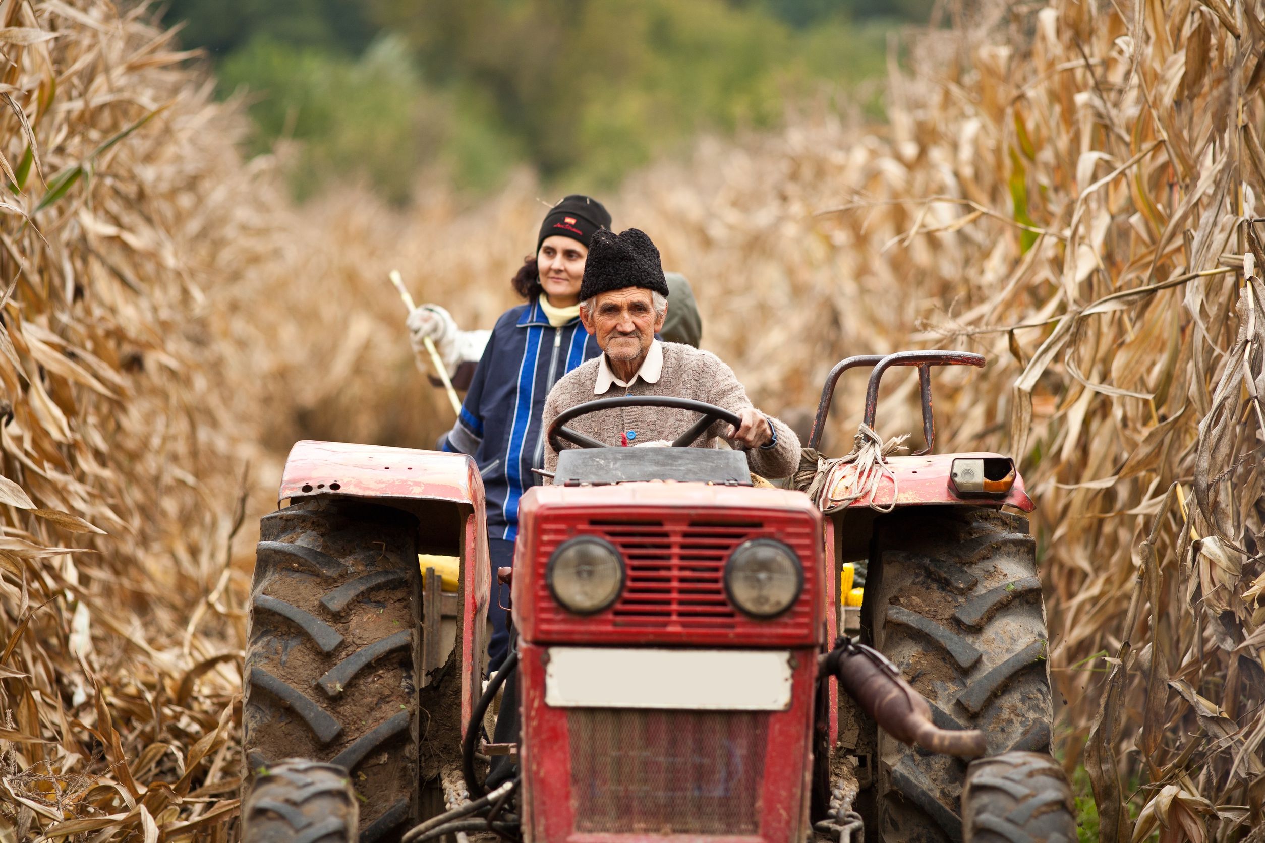 Reasons Local Farmers Rely On A Kubota Tractor Rental Dealer In Kiowa CO