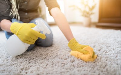 Experience a Healthier Home With Deep Cleaning Services in Kingwood, TX, for Busy Families