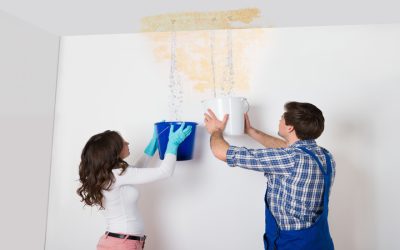 Why Homeowners Rely on a Water Damage Restoration Company in Fenton, MI for Peace of Mind