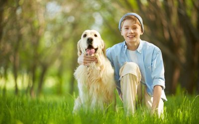 Experience Positive Changes from Dog Trainers Brevard County FL for Every Breed
