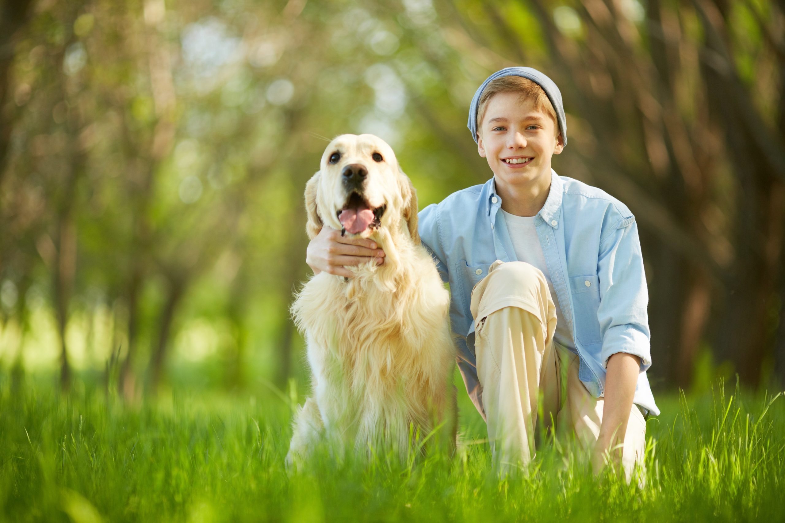 Experience Positive Changes from Dog Trainers Brevard County FL for Every Breed