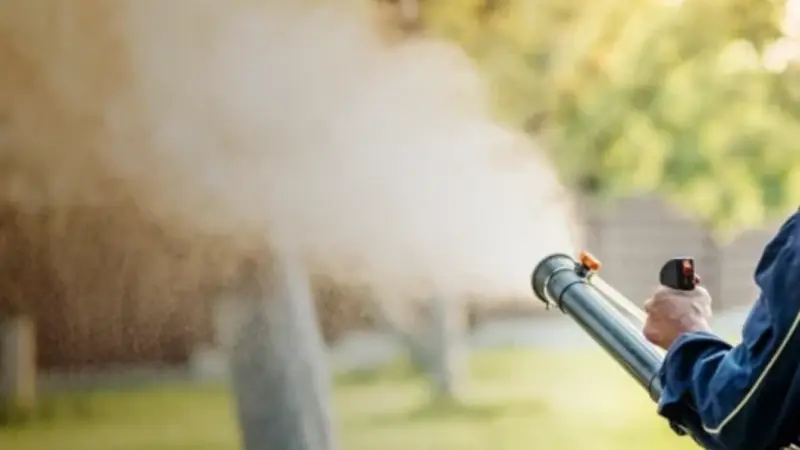 How to Keep Your Garden Thriving with Weed Control for Flower Beds, Shelbyville, KY Solutions