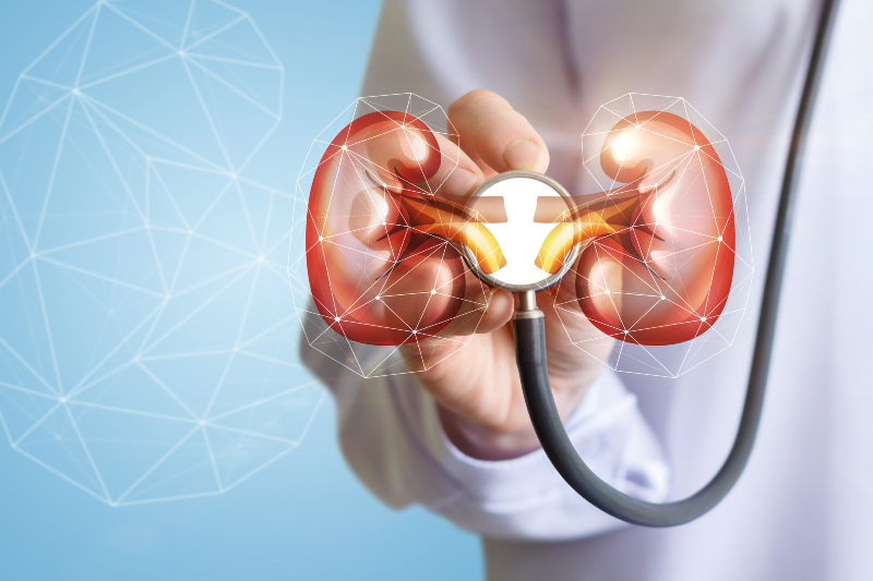 Improve Health and Prevent Issues with a Urologist at Genesis Medical Group in Spring, TX