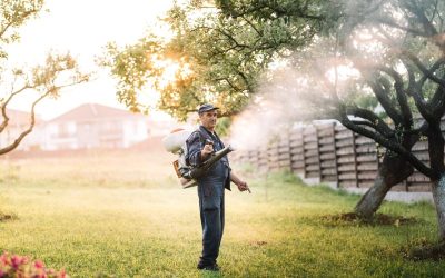 How Effective Mosquito Control in Haymarket, VA Can Protect Your Family This Summer
