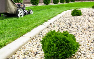 Enhance Property Value by Choosing Commercial Lawn Maintenance Professionals