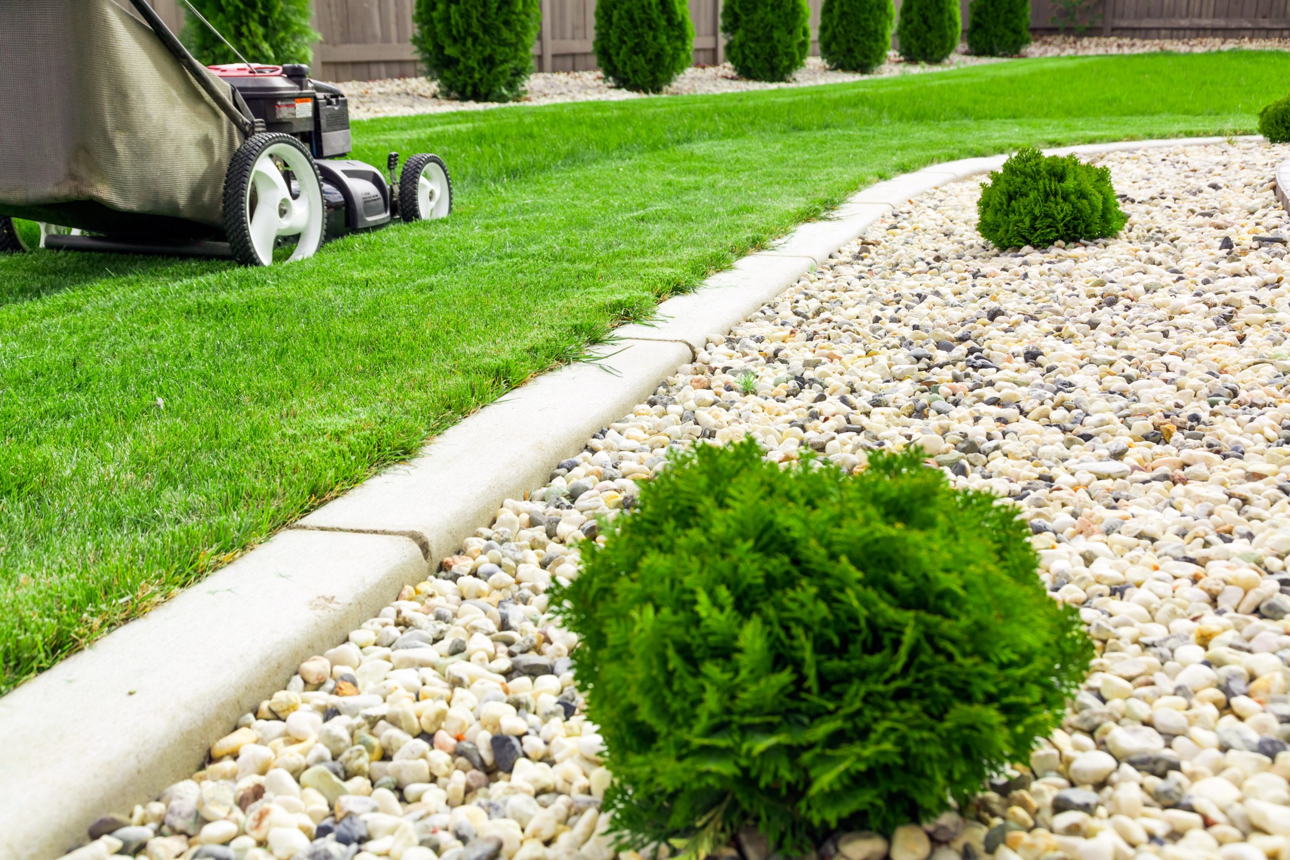 Enhance Property Value by Choosing Commercial Lawn Maintenance Professionals