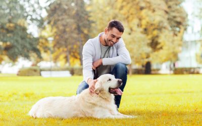 Train Your Pup for Success with a Dog Trainer in Grayson, GA Locals Trust for Results