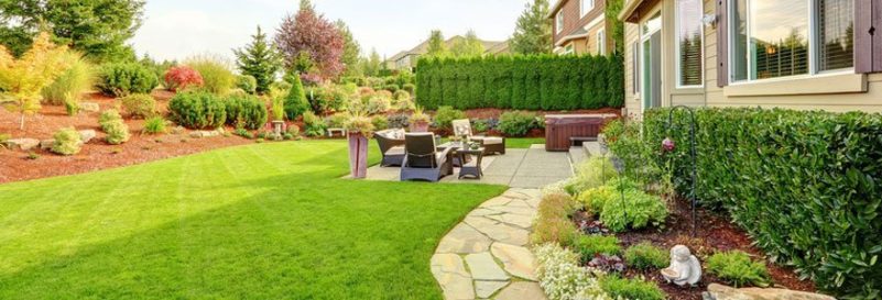 Fresh Landscaping Designs in Twin Cities Residents Rely On for Curb Appeal