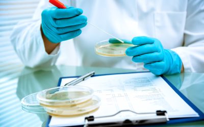 What to Expect When Considering a Mommy Makeover Edmonton AB for Your Transformation