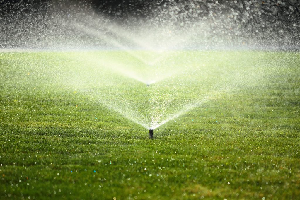 Hardscape vs. Softscape: Understanding the Balance in Your Landscape Design