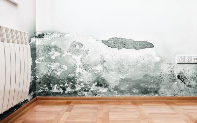 Essential Tips for Seamless Drywall Repair Anchorage, AK Residents Should Know