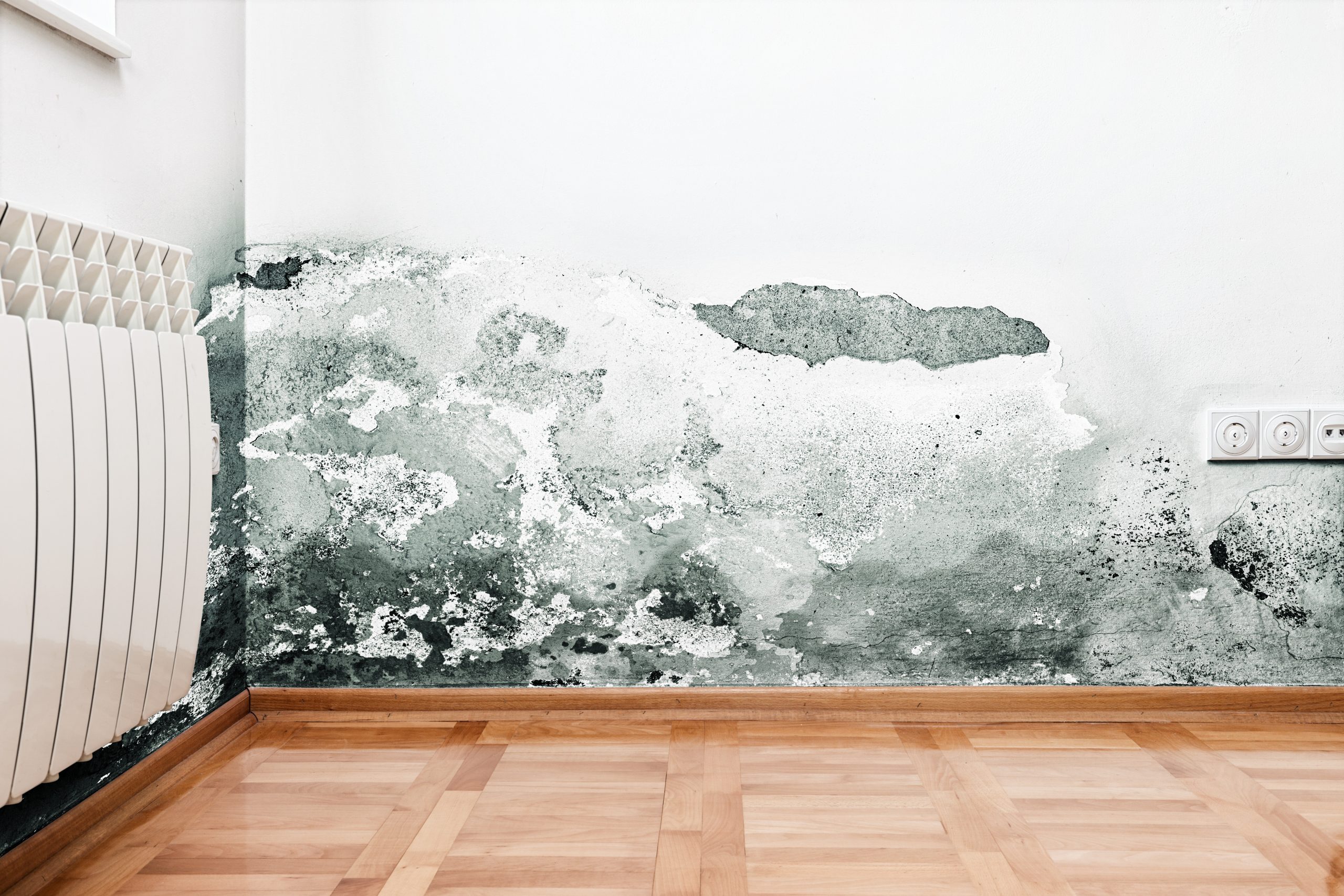Essential Tips for Seamless Drywall Repair Anchorage, AK Residents Should Know