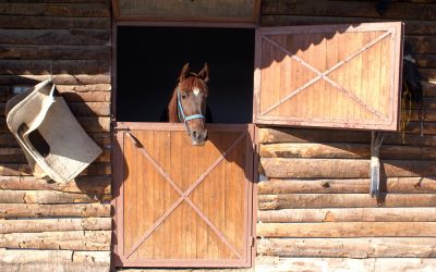 How Corral Panels in Norco CA, Improve Farm Efficiency and Animal Management