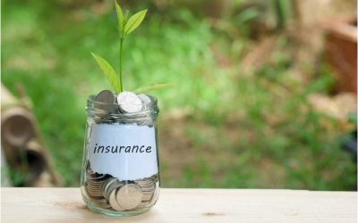 Getting the Right Support From an Insurance Agency Rock Hill SC for Your Needs