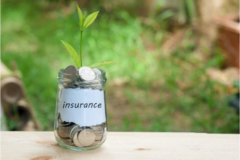 Getting the Right Support From an Insurance Agency Rock Hill SC for Your Needs