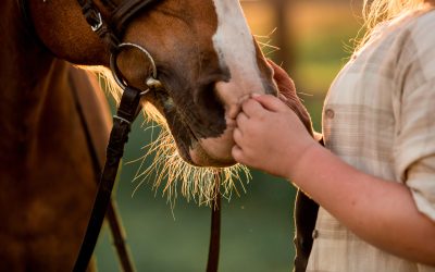 Life Changing Benefits of Equine Assisted Therapy for Children With Autism