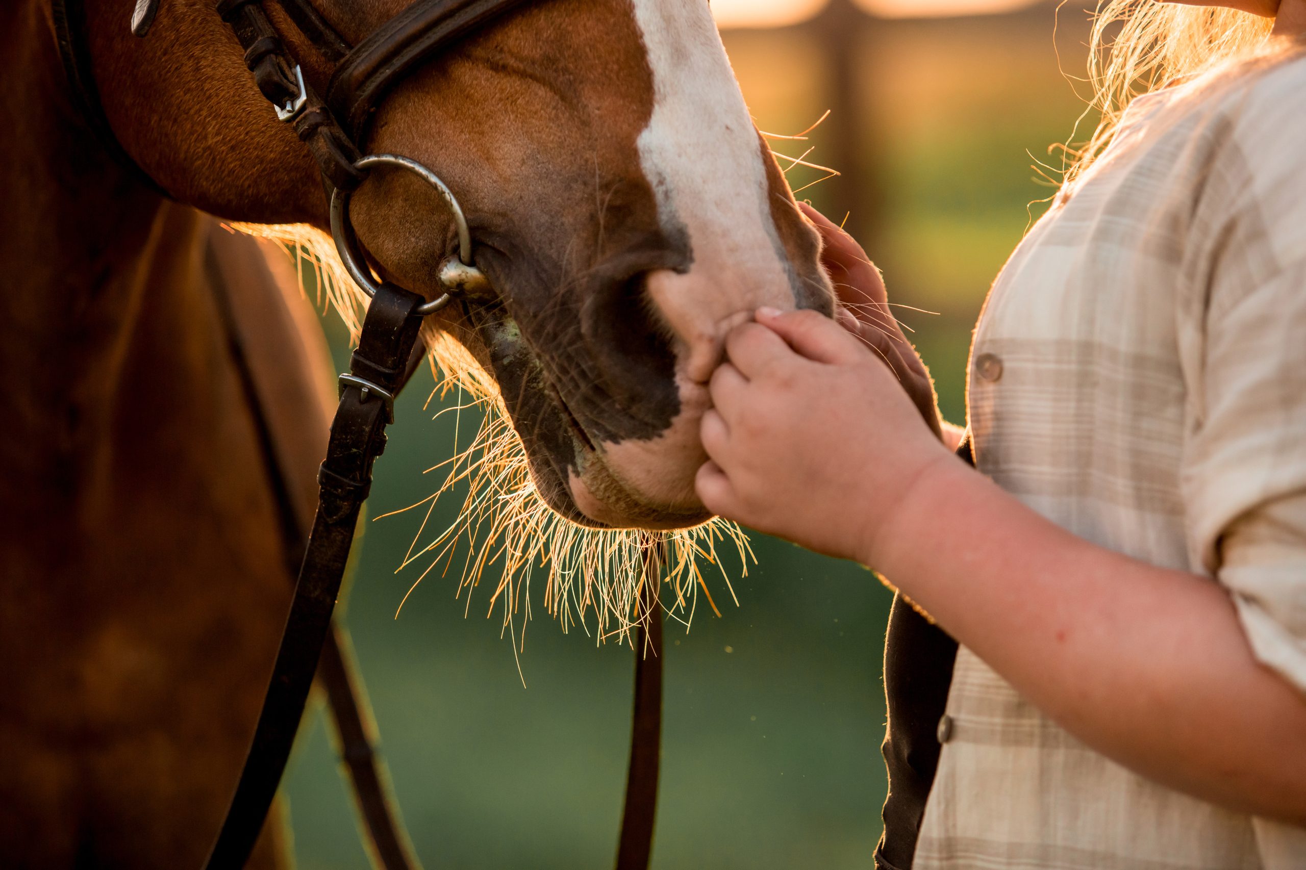 Life Changing Benefits of Equine Assisted Therapy for Children With Autism