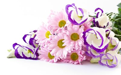 Surprise loved ones with same-day delivery of flowers, bouquets, and gifts in Lacey, WA.