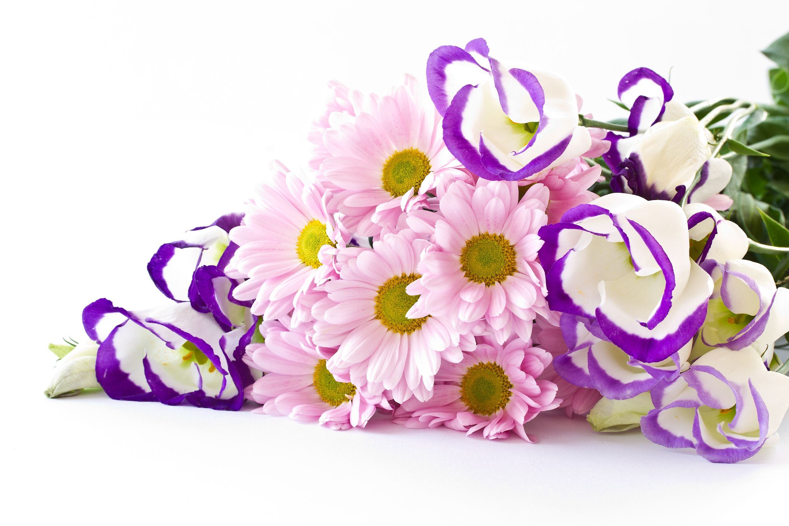 Surprise loved ones with same-day delivery of flowers, bouquets, and gifts in Lacey, WA.