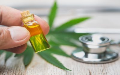 Enhancing Your Lifestyle with Recreational Cannabis Rochester NY Choices and Options