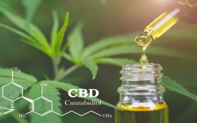 Your Guide to Finding Quality Products at Dispensaries In Springfield MA