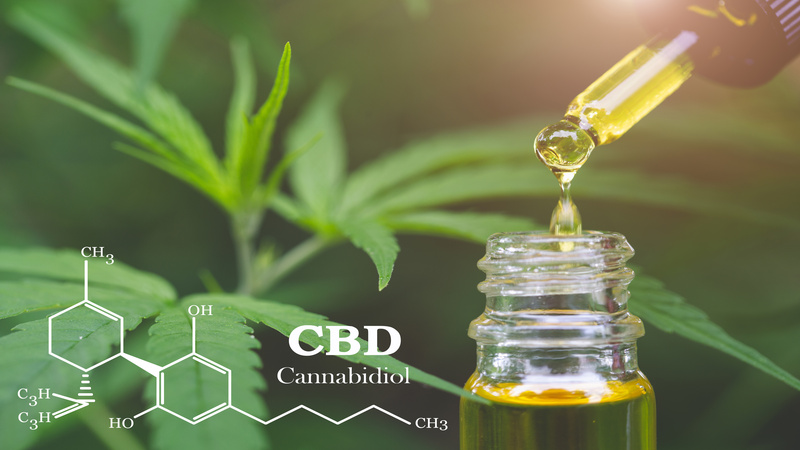 Your Guide to Finding Quality Products at Dispensaries In Springfield MA