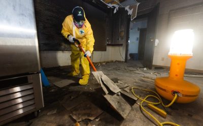 Protect your home from hidden dangers with crawl space mold inspection in Peachtree City, GA