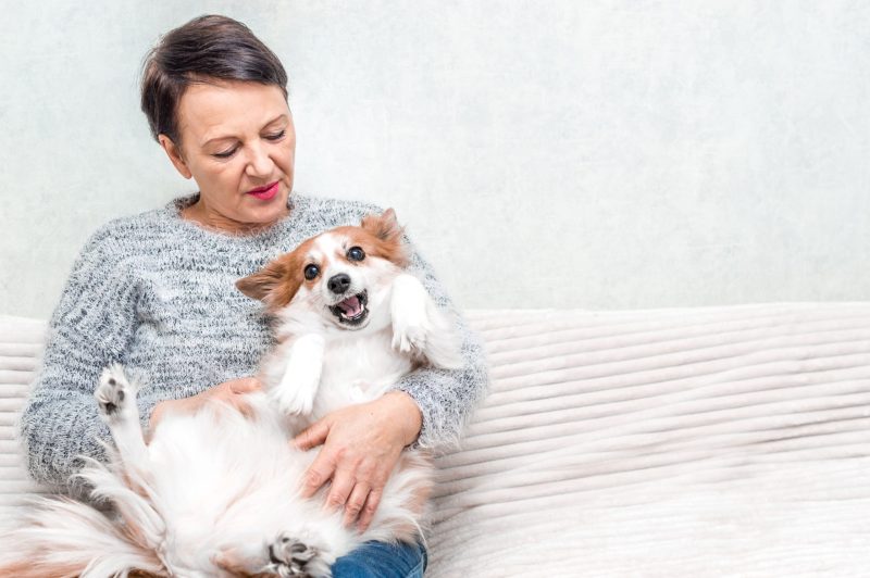 Enjoy Worryfree Travel By Choosing Dog Boarding In Manhattan Families Rely On For Happy Pups
