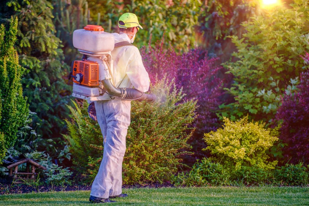 Seasonal Lawn Care Services Mt. Washington, KY, Residents Use for Lasting Results