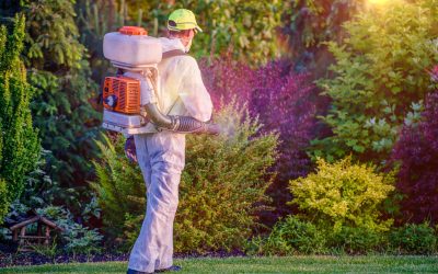 Seasonal Lawn Care Services Mt. Washington, KY, Residents Use for Lasting Results